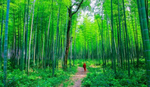 【フツーに方丈記】方丈記。現代語に訳すとこーなる！これなら方丈記を読めます